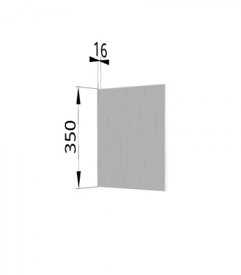 Панель торцевая (для шкафа горизонтального) ПГ Ройс (Графит софт) в Двуречье - dvureche.mebel54.com | фото