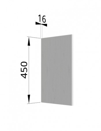 Панель торцевая (для шкафа горизонтального высокого) ВПГ Ройс (Графит софт) в Двуречье - dvureche.mebel54.com | фото